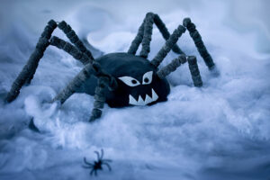 gruselige Spinne Halloween
