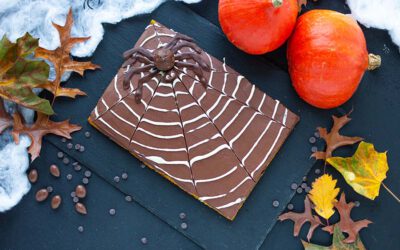 Halloween Kürbiskuchen vegan mit Spinnennetz